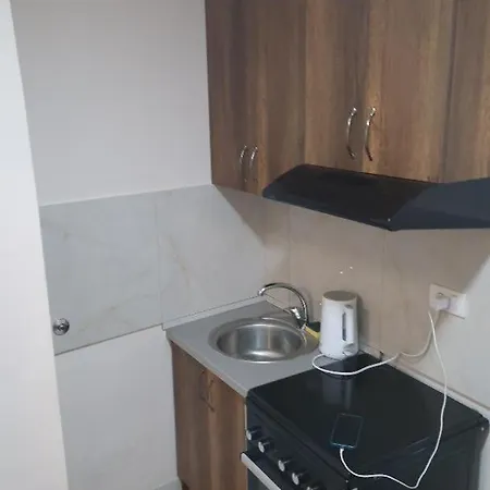 Apartment Near The Temple Of St Sava *
